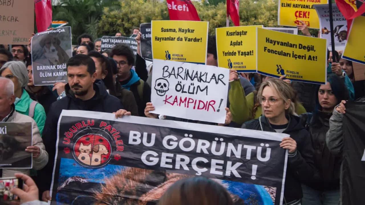 Ege Üniversitesi’nde sokak hayvanlarına destek yürüyüşü: Şeriatçı rektör istemiyoruz
